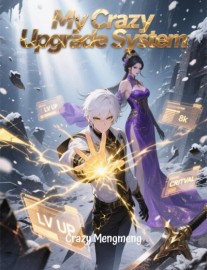 My Crazy Upgrade System